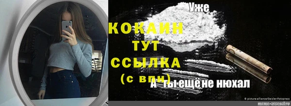 mdpv Богданович