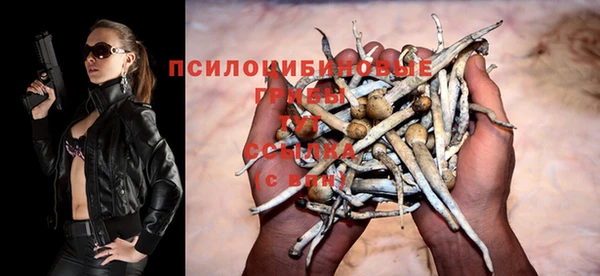 ПСИЛОЦИБИНОВЫЕ ГРИБЫ Богородицк