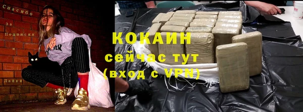 mdpv Богданович