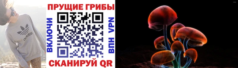Купить  Гремячинск  Галлюциногенные грибы прущие грибы 